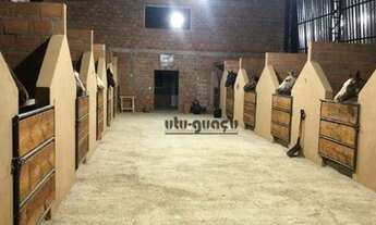 Imagem 5: Haras à venda, 60500 m² por R$ 1.600.000 - Bananal do Avecuia - Porto Feliz/SP