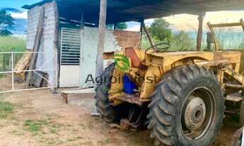 Imagem 6: Fazenda em Peixe -TO