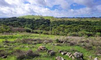 Imagem 3: Terreno Rural Urubici/ imóvel Rural 2 hectares
