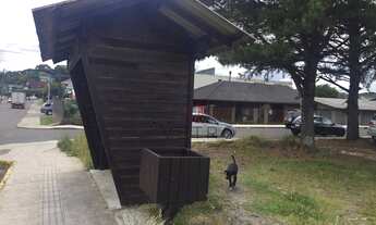 Imagem 5: Terreno no bairro São José em Canela!