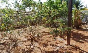 Imagem 4: GOIâNIA - Terreno Padrão - Jardim América