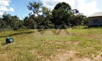 Imagem 7: Chácara em Prof. Jamil com 5mil mts e com rio fluente aos fundos