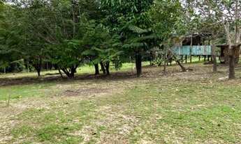 Imagem 5: Vendo este lindo sitio