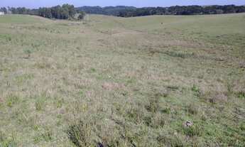 Imagem 7: Excelente área para investimento turístico ou lazer