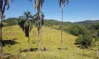 Imagem: Goiás Velho 256 alq. Boa pra Gado