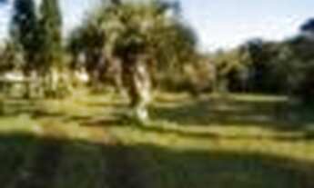 Imagem 5: Porto Alegre - Sítio - Vila Nova