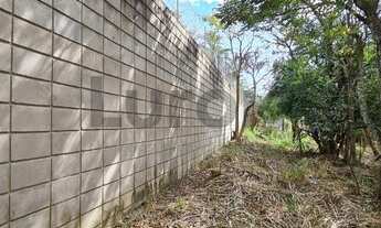 Imagem 4: área - Sítio Recreio dos Cafezais - Valinhos