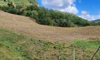 Imagem 6: Excelente sítio de 12 hectares!