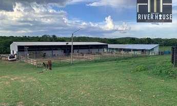 Imagem: Fazenda - venda com 375 HC a 35 km de Cuiabá