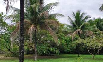 Imagem 7: Sítio em Santa Cruz de Cabralia