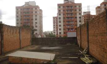 Imagem 7: Porto Alegre - Galpão/Depósito/Armazém - Cristo Redentor