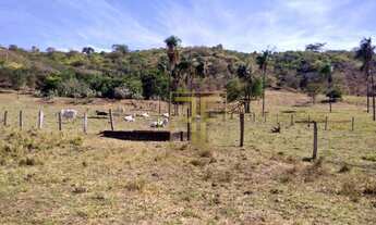 Imagem 5: Fazenda 80 Alqueires, Bom Jesus, GO