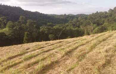Imagem 5: Lote/Terreno para venda com 0 metros quadrados em Centro - Guararema - São Paulo