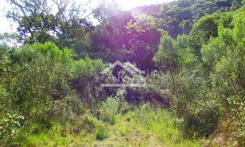 Imagem 3: Área de terras junto ao rio em Nova Petrópolis na serra gaúcha