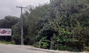 Imagem 2: Área com 6.000 m² às margens da Rodovia PE 35 (Área Comercial) em Igarassu - PE