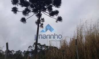 Imagem 5: ÁREA PARTE IDEAL 4.153M² - ITAQUI - CAMPO LARGO - PR