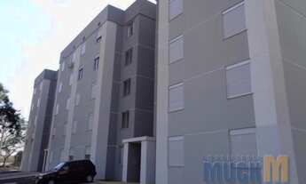 Imagem: Canoas - Padrão - Olaria