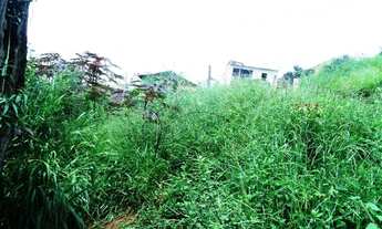 Imagem 5: Terreno no asfalto Bairro da Faisqueira