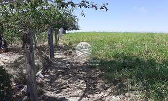 Imagem 3: Vale do Paraíso - Sítio - 25 alqueires proximo da cidade