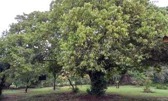 Imagem 4: Local alto e plano