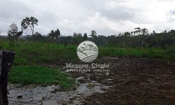 Imagem 6: Alto Paraíso - Fazenda - 65 Alqueires