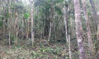 Imagem 2: 20 mil mts quadrados com riacho 57 mil reais