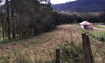 Imagem 3: Venda granja monte verde- juiz de fora