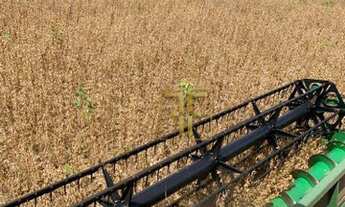 Imagem 6: Fazenda 5.570 Hectares, Balsas, MA