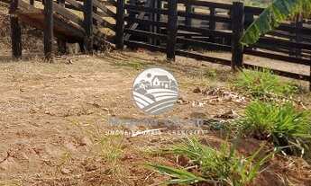 Imagem 3: Vale do Anari - Sítio - Vale do Anari