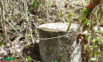 Imagem 5: Terreno com 1.6 ha