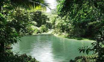 Imagem 5: Terreno à venda, 502 m² por R$ 427.193,00 - Granja Viana - Cotia/SP