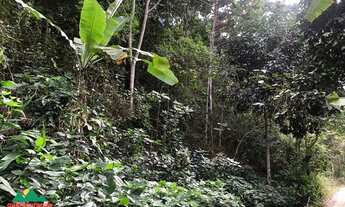 Imagem 4: Terreno com 1.6 ha