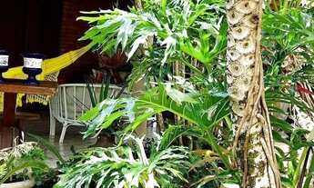 Imagem 4: Casa para venda com muita natureza e ar puro para você desfrutar de dias tranquilos