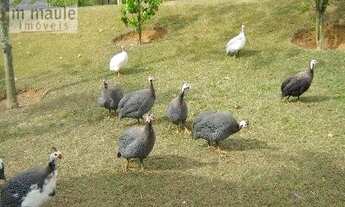 Imagem 2: Chácara Residencial à venda, Sousas, Campinas - CH0037