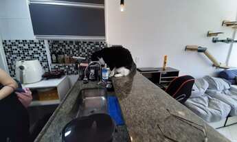 Imagem 7: Leme Transversal, reformado por arquiteto, cada peça feita para o imóvel, confortável e ef