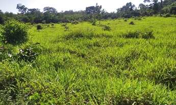 Imagem 7: Fazenda no município de recursolandia