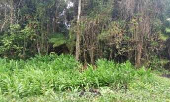 Imagem 2: Terreno em local de moradores, água da sabesp, possui 2 unidades