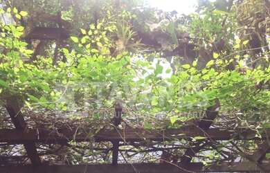 Imagem 2: Apartamento em Gávea