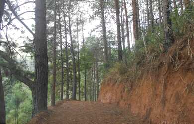 Imagem 3: PETRóPOLIS - Terreno Padrão - Araras