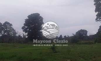 Imagem 3: Ariquemes - Sítio - 10 Alqueires a