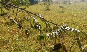Imagem 7: Fazenda/Sítio/Chácara para venda possui 5000 metros quadrados com 1 quarto