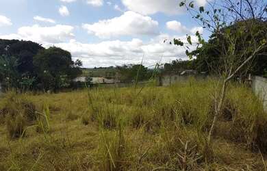 Imagem 4: Terreno no bairro Ipelândia