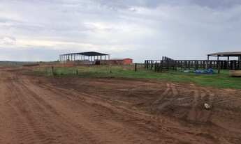 Imagem 3: Vendo Fazenda Munícipio Mineiros - GO