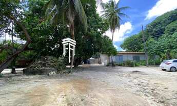 Imagem 6: Ótimo Terreno Comercial/Residencial com 11.880 m2, sendo 44 m de frente e 270 m de fundos