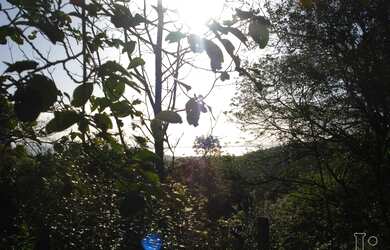 Imagem 5: Porto Alegre - Terreno Padrão - Vila Nova