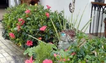 Imagem 3: Belíssima casa frente mar, pé na areia na Enseada do Brito Palhoça