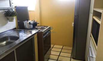 Imagem 5: NATAL - Padrão - Capim Macio