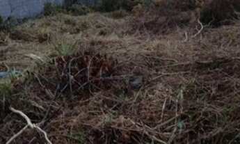 Imagem 3: Lote à venda 385 m² no Vale do Sol - Nova Lima - MG