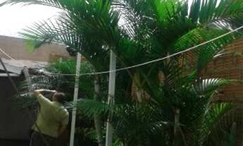 Imagem 6: Residencial - Jd Martinelli