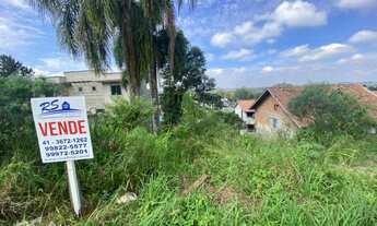 Imagem 5: TERRENO QUATRO BARRAS - PR